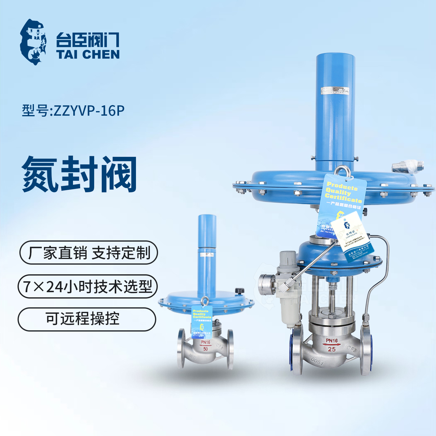 指挥器操作型自力式压力调节阀图片